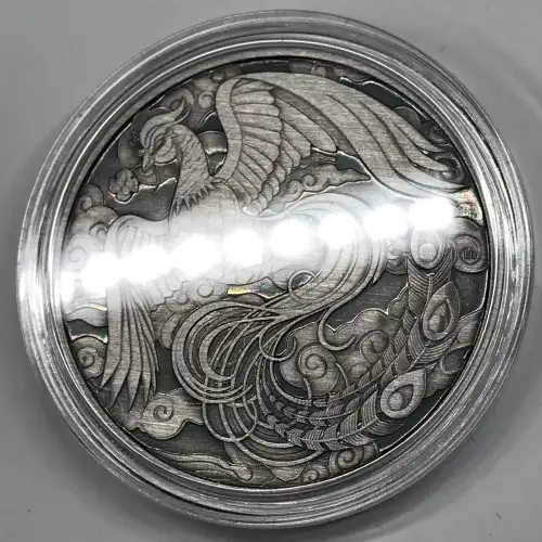 1 oz Silver (COIN)