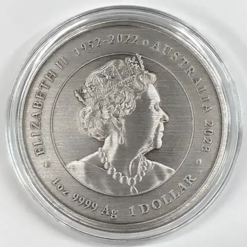 1 oz Silver (COIN)