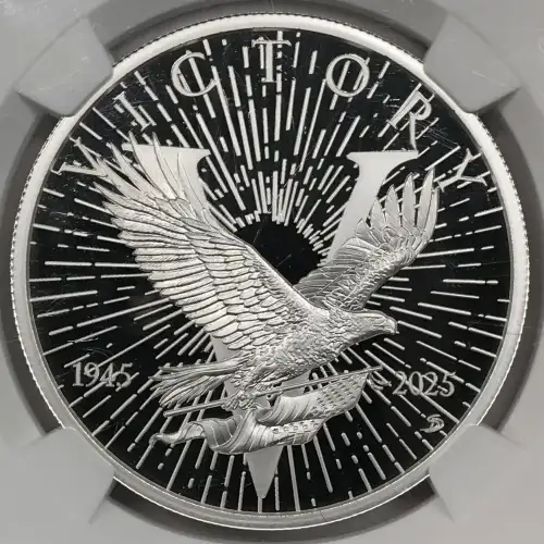 1 oz Silver (COIN) (2)