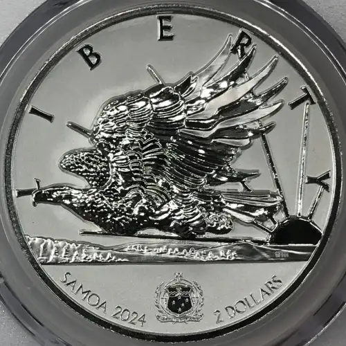 1 oz Silver (COIN)