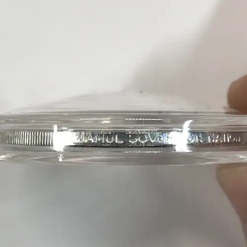 1 oz Silver (COIN) (3)