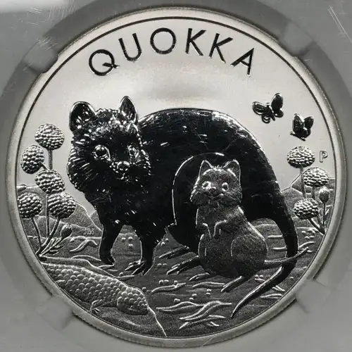 1 oz Silver (COIN) (2)