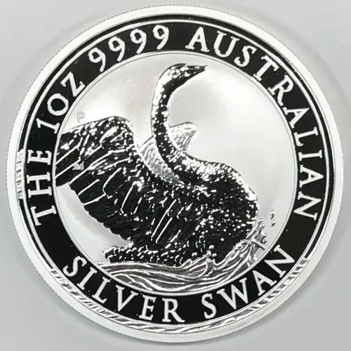 1 oz Silver (COIN)