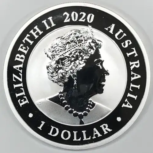 1 oz Silver (COIN)