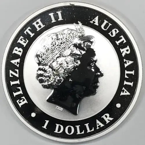 1 oz Silver (COIN)
