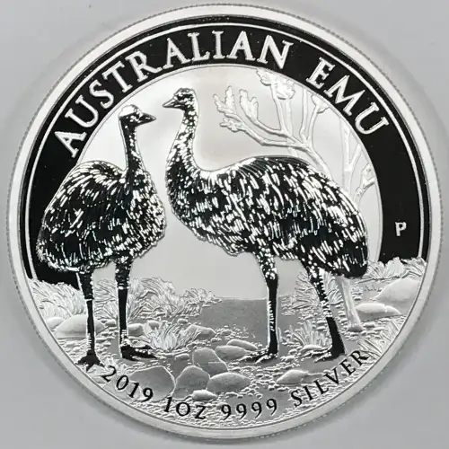1 oz Silver (COIN) (2)