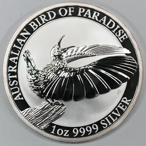 1 oz Silver (COIN)