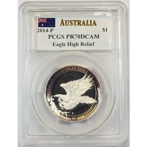 1 oz Silver (COIN)