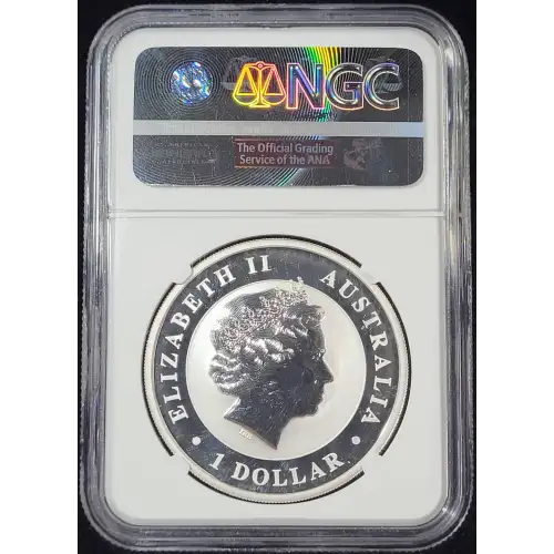 1 oz Silver (COIN) (5)