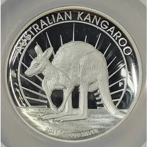1 oz Silver (COIN)