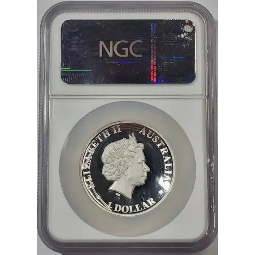 1 oz Silver (COIN) (4)