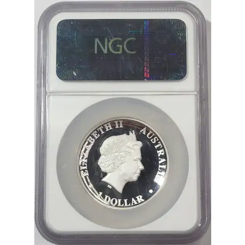1 oz Silver (COIN)