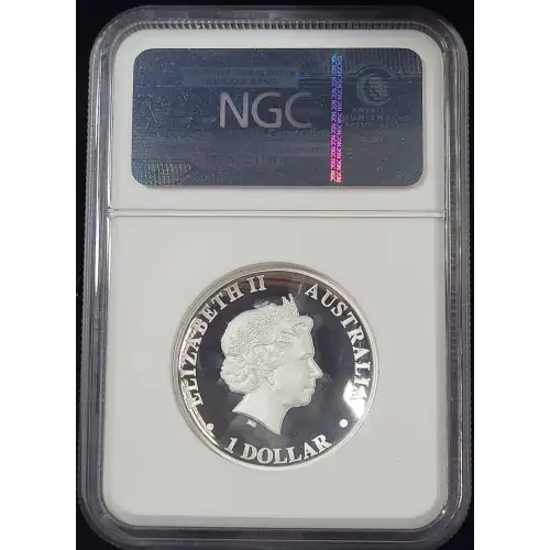 1 oz Silver (COIN) (2)