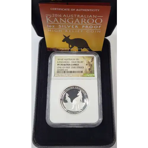1 oz Silver (COIN) (5)