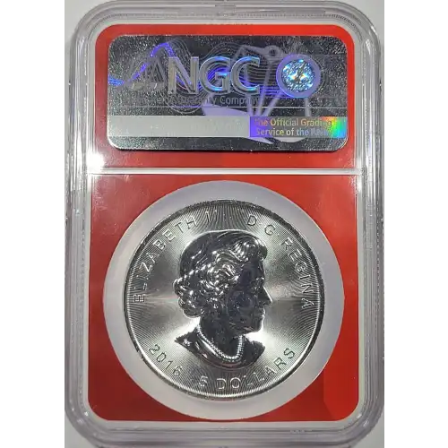 1 oz Silver (COIN) (3)