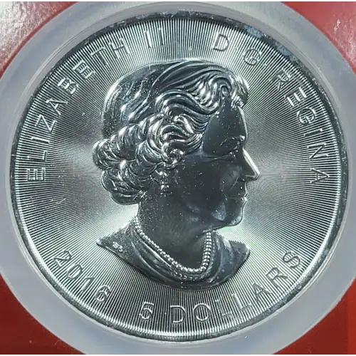 1 oz Silver (COIN)