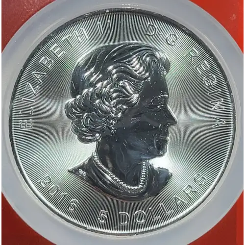 1 oz Silver (COIN) (2)