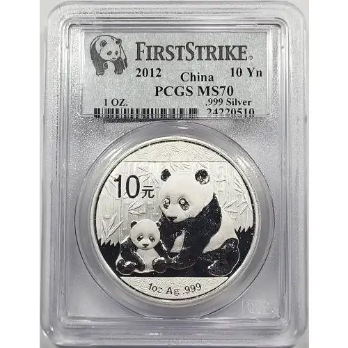 1 oz Silver (COIN)