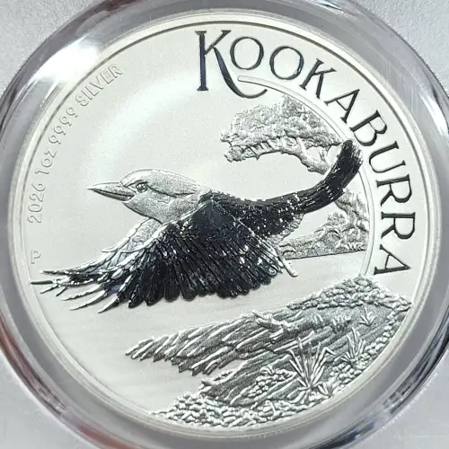 1 oz Silver (COIN) (2)
