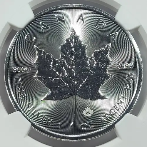 1 oz Silver (COIN) (2)