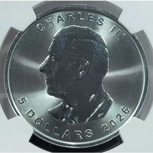 1 oz Silver (COIN) (4)