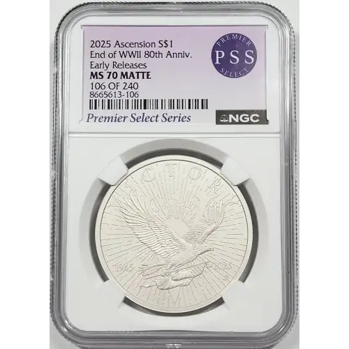 1 oz Silver (COIN)