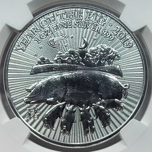1 oz Silver (COIN) (3)