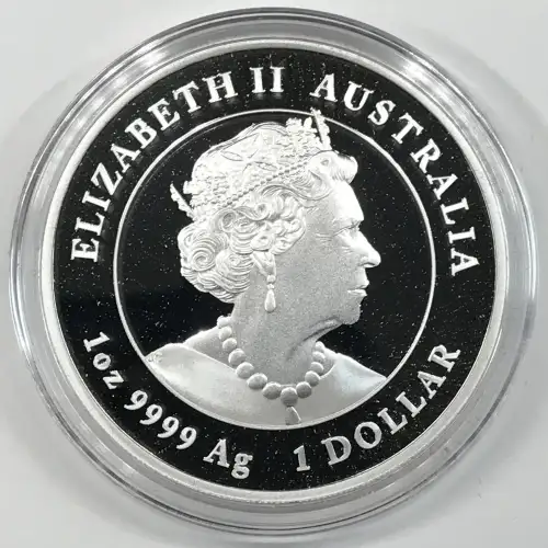 1 oz Silver (COIN) (2)