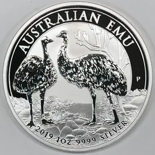 1 oz Silver (COIN) (2)