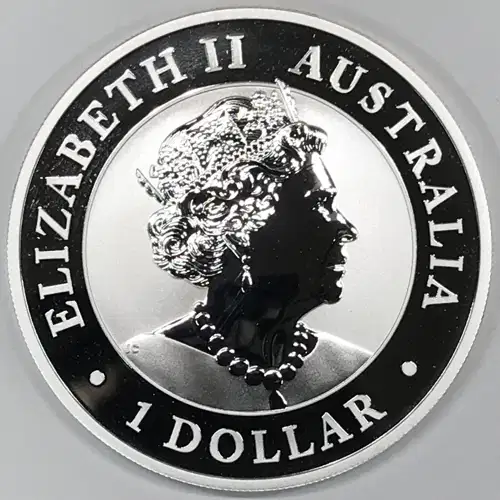 1 oz Silver (COIN)
