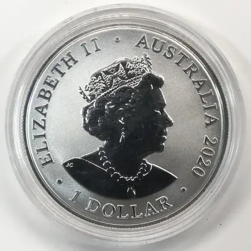 1 oz Silver (ROUND) (2)