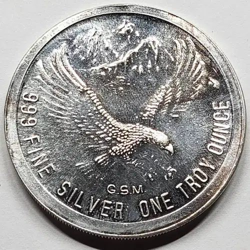 1 oz Silver Round generic (2)