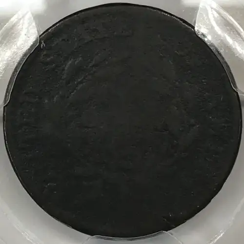 1794 1C Shielded Hair, S-65, BN (4)