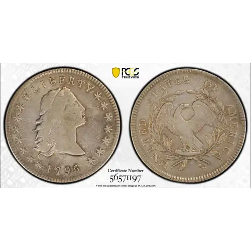 1795 $1 Flowing Hair, 3 Leaves