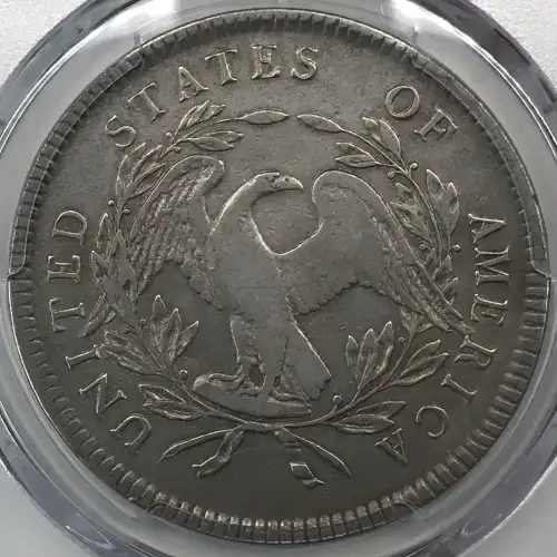 1795 $1 Flowing Hair, 3 Leaves (8)