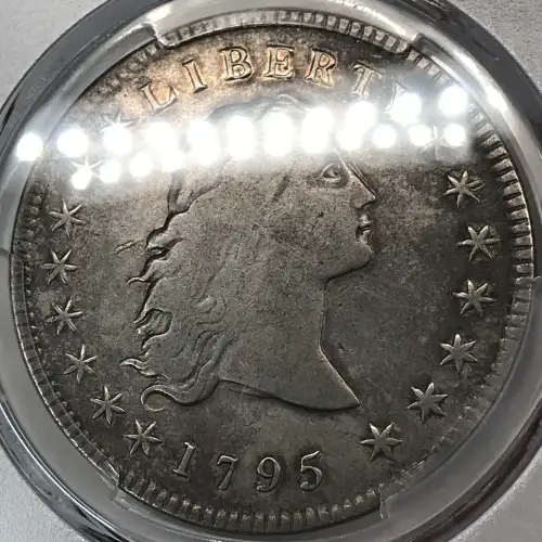 1795 $1 Flowing Hair, 3 Leaves (5)
