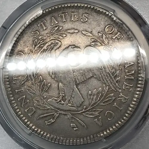 1795 $1 Flowing Hair, 3 Leaves (6)