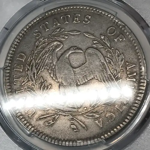 1795 $1 Flowing Hair, 3 Leaves (4)