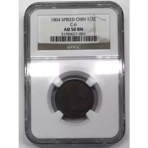 1804 SPIKED C-6 BN (5)