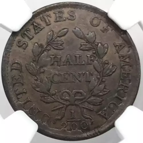 1804 SPIKED C-6 BN