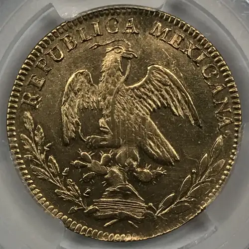 1825-Mo JM 4 Esc (4)