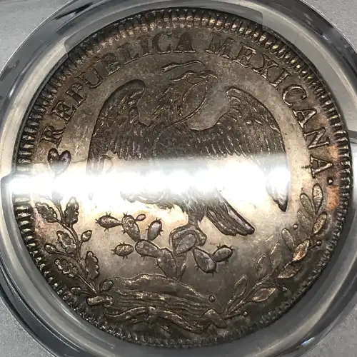 1834-Mo ML 8 R Mo14 (4)