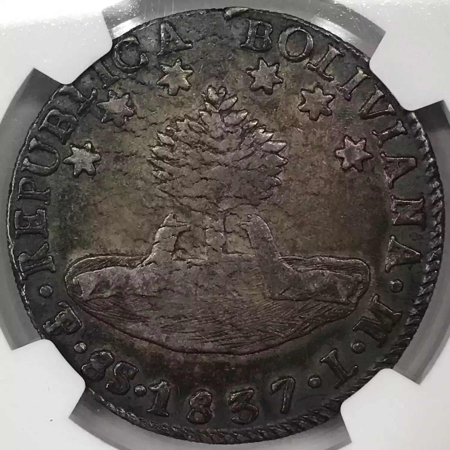 1837-PTS LM Bolivia Silver 8 SOLES NGC VF-35 - Old Pueblo Coin