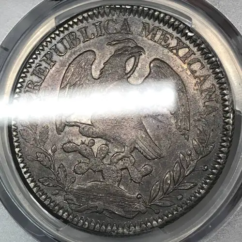 1844-Zs OM 8 R Zs24 (5)