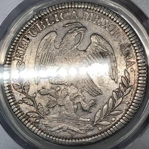 1845-Zs OM 8 R Zs25 (4)