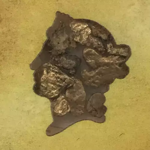 1857 1.5g Pinch of Gold S.S. Central America #2 (4)