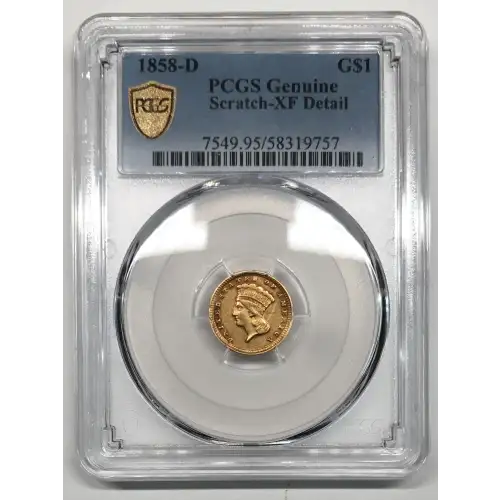 1858-D G$1 (5)