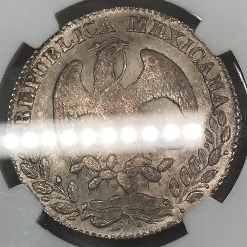 1869PI PS (3)