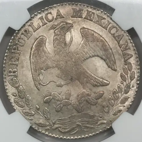 1869PI PS (5)