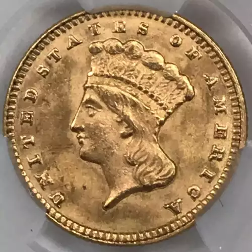 1874 G$1 (5)